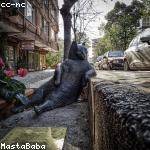 Abelardo Jast
